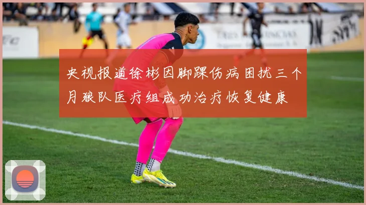 央视报道徐彬因脚踝伤病困扰三个月狼队医疗组成功治疗恢复健康